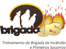 Brigada JS